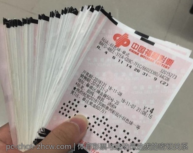 体育彩票与运动员选拔的密切关系